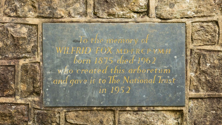 A close up of a plaque mounted on a wall with the inscription "To the memory of Wilfrid Fox MC, FRCP, VMH born 1875 died 1962 who created this arboretum and gave it to the National Trust in1952".
